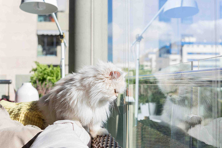 Cerramientos para terraza