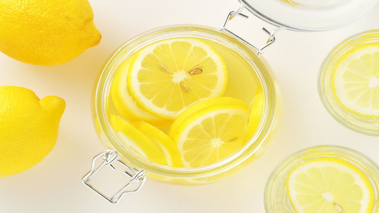 vinagre y limon bichos