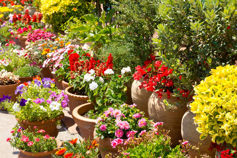 Decorar tu jardín con flores