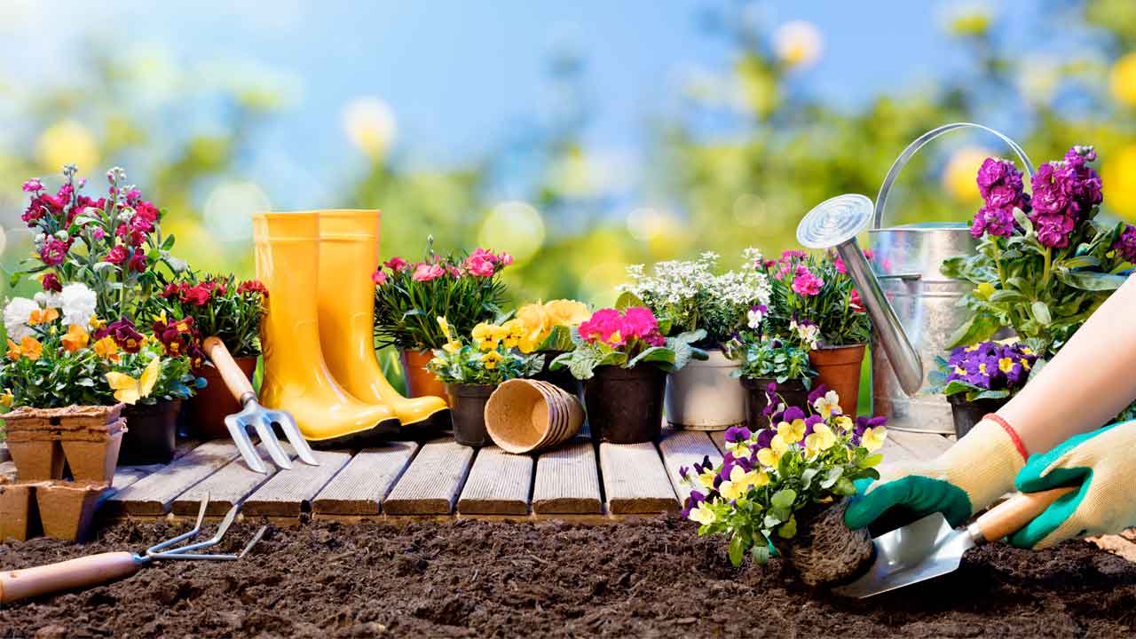 Ideas para tu jardín, Cómo sacarle más partido