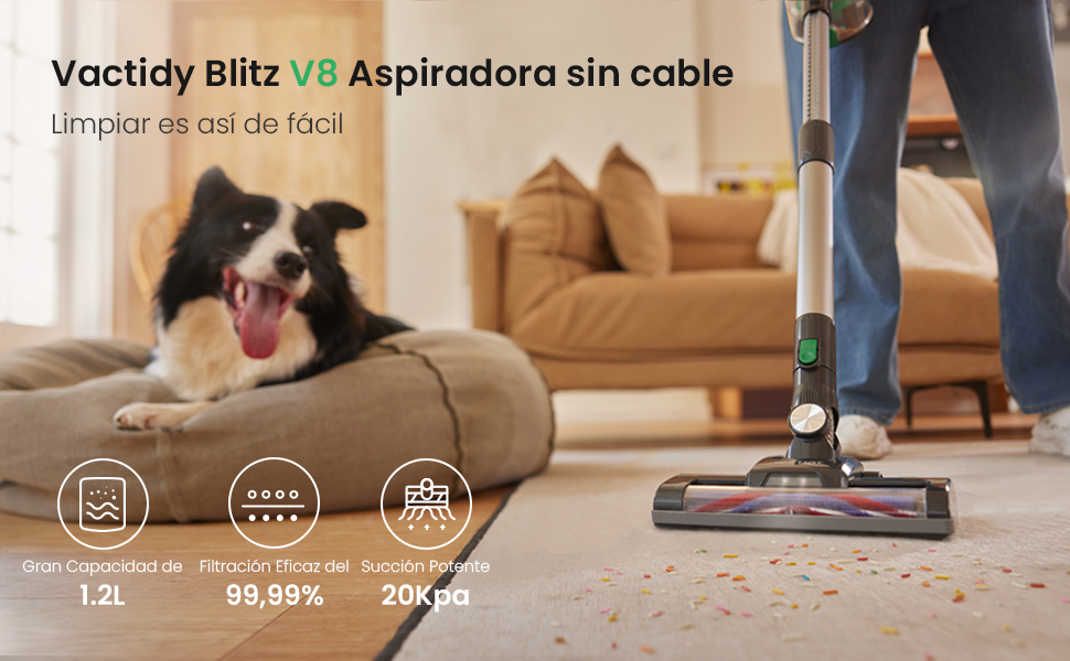 Vactidy Blitz V8