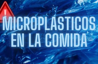 MICROPLASTICOS EN LA COMIDA (2)