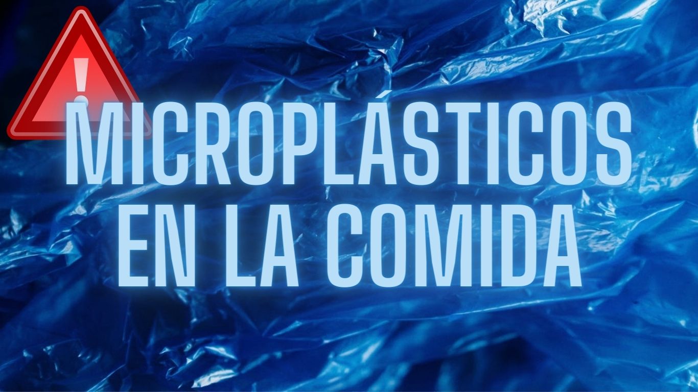 MICROPLASTICOS EN LA COMIDA (2)