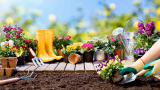 Ideas para tu jardín, ¿Cómo sacarle más partido? 