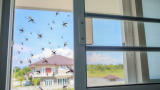 Cómo evitar los mosquitos en casa: un verano sin picaduras