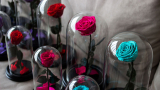 Por qué una rosa eterna no puede faltar en tu hogar