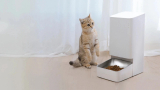 Xiaomi Smart Pet Food Feeder, nuevo comedero inteligente