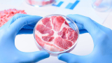 Carne de laboratorio: qué es, ventajas y cuándo comprarla